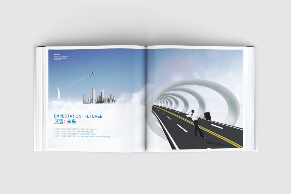 浉河区画册设计